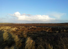 Impressionen