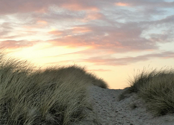 Impressionen